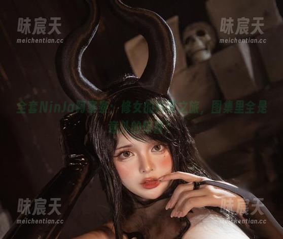 全套NinJa阿寨寨：修女的赎罪之旅，图集里全是意外的惊喜！
