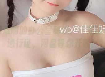 佳佳好难啊的办公室秘境：下载前别忘了通行证，网盘等你开锁！