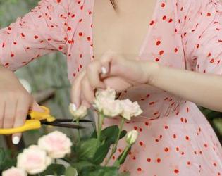 模范学院 – 打开高清图库，轻松获得白茹雪的女仆精灵，满满的萌感！